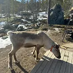 Charming In Jotunheimen
