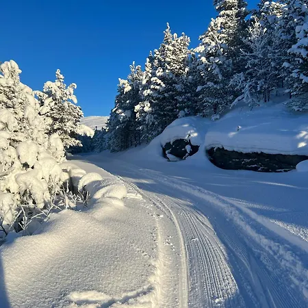 Charming In Jotunheimen 度假居