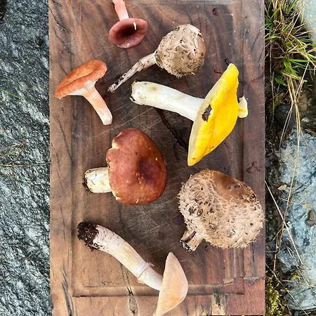 Charming In Jotunheimen Vaga