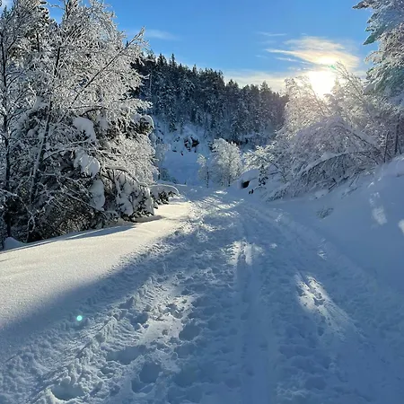 Σπίτι διακοπών Charming In Jotunheimen *