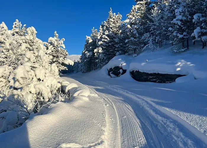 Charming In Jotunheimen 度假居