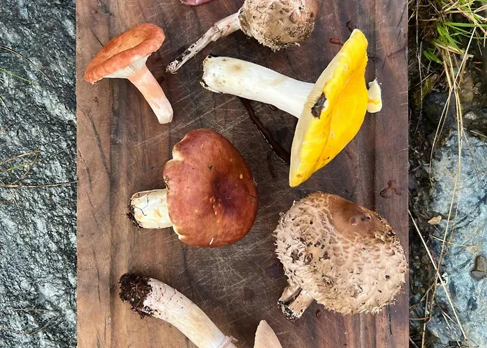 Charming In Jotunheimen Vaga